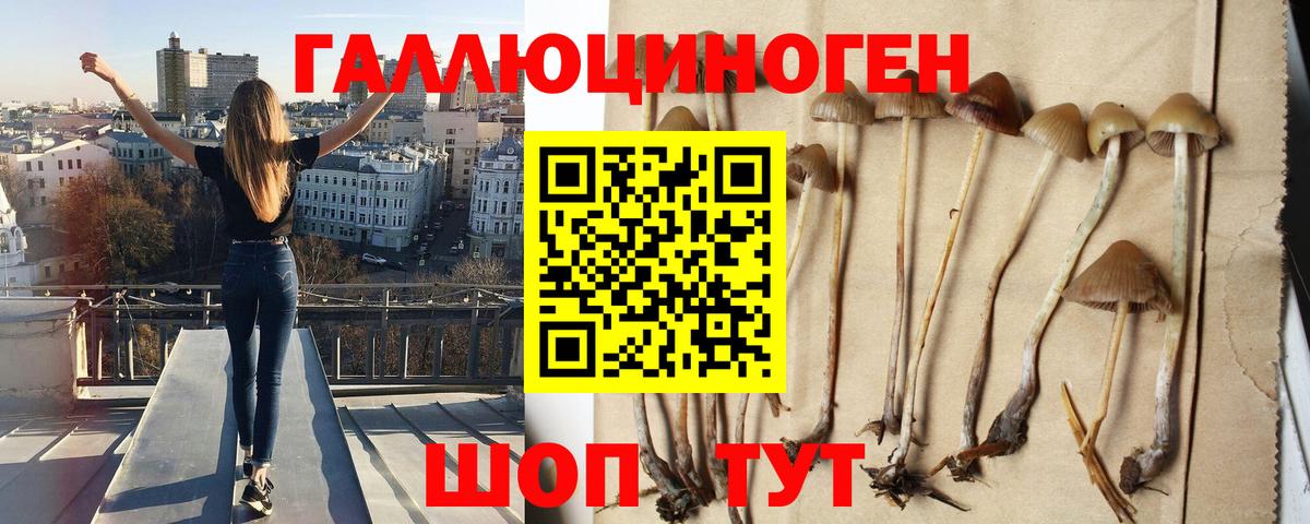 Псилоцибиновые грибы Magic Shrooms Кизилюрт