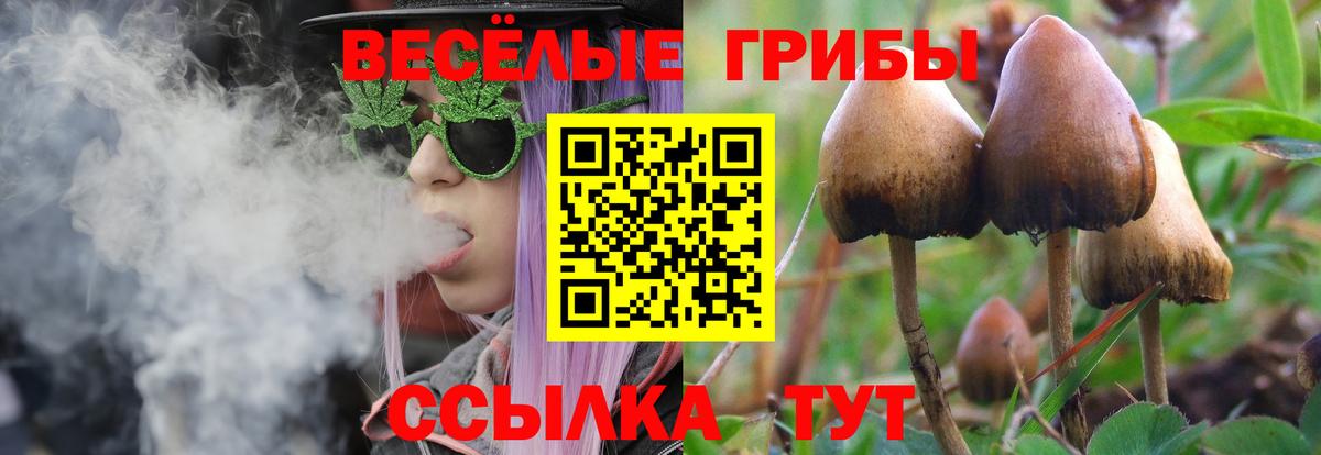 Псилоцибиновые грибы Magic Shrooms  Вход с VPN  Галлюциногенные грибы ЛСД  Кизилюрт 